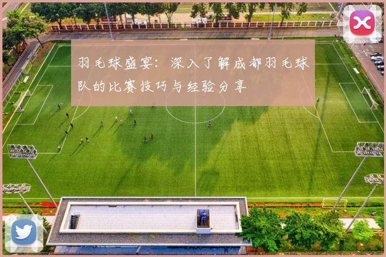 羽毛球盛宴：深入了解成都羽毛球队的比赛技巧与经验分享