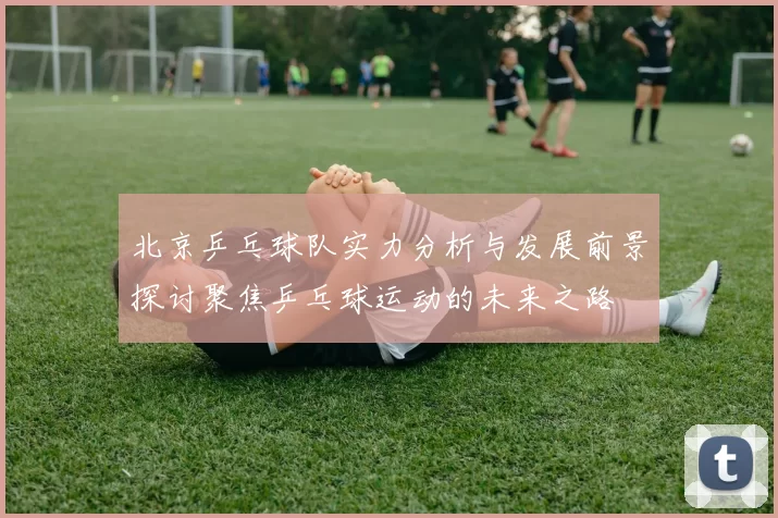 北京乒乓球队实力分析与发展前景探讨聚焦乒乓球运动的未来之路