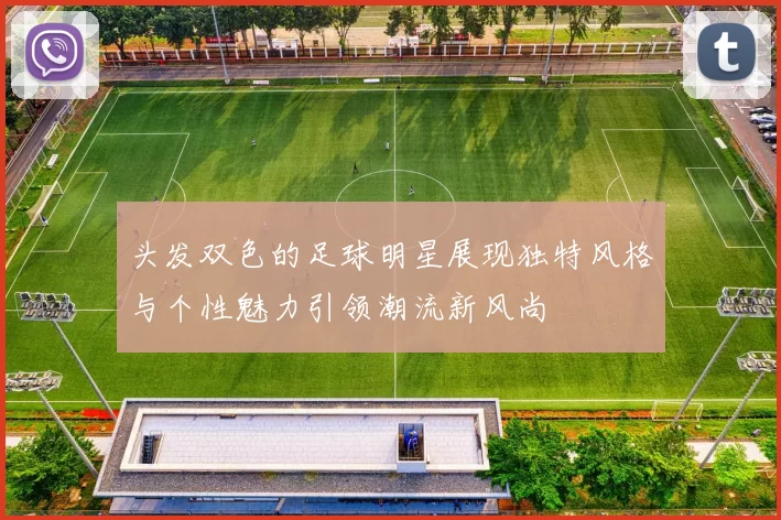 头发双色的足球明星展现独特风格与个性魅力引领潮流新风尚